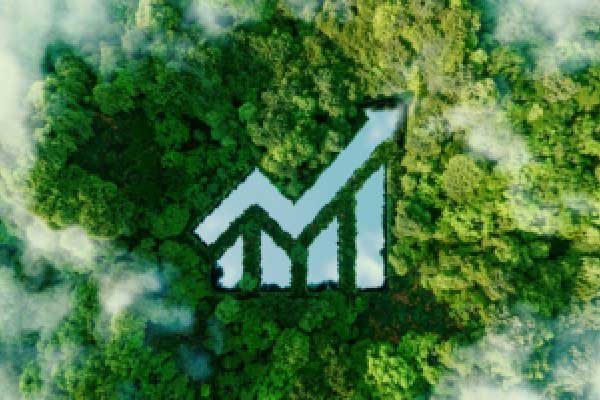 顶级货币预测者马里诺夫称 美元下滑可能会失去动力